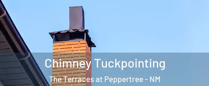 Chimney Tuckpointing The Terraces at Peppertree - NM