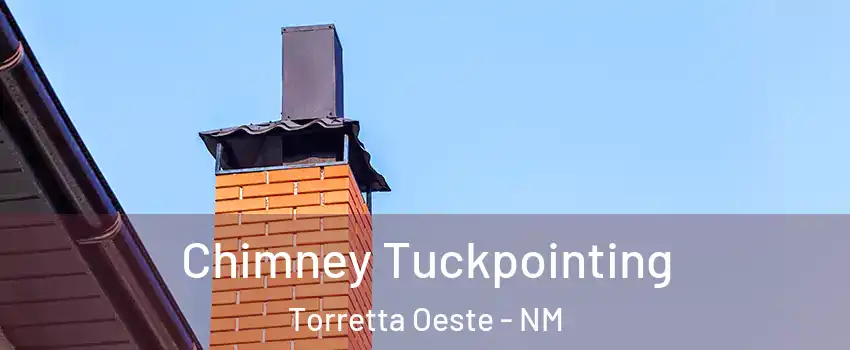 Chimney Tuckpointing Torretta Oeste - NM