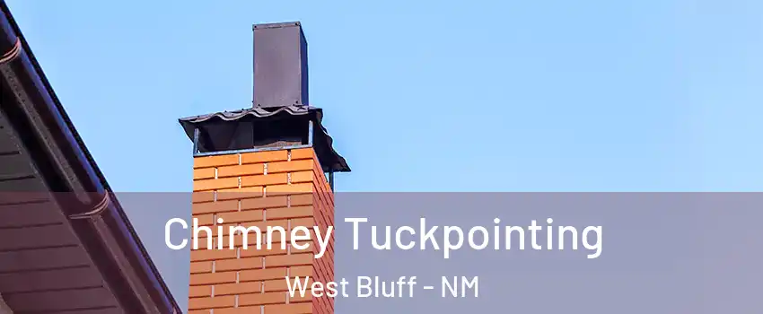 Chimney Tuckpointing West Bluff - NM