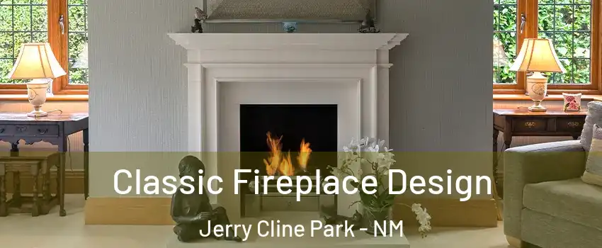 Classic Fireplace Design Jerry Cline Park - NM