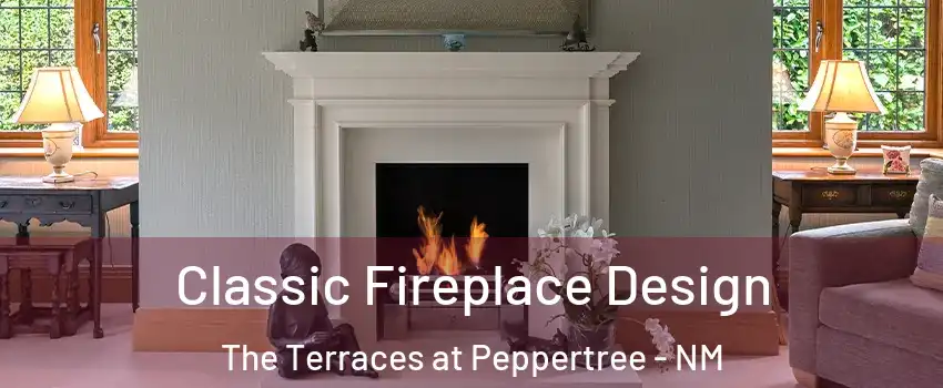 Classic Fireplace Design The Terraces at Peppertree - NM