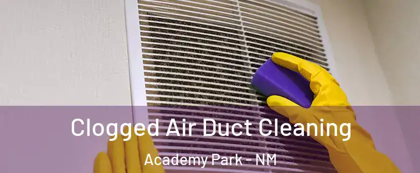 Clogged Air Duct Cleaning Academy Park - NM