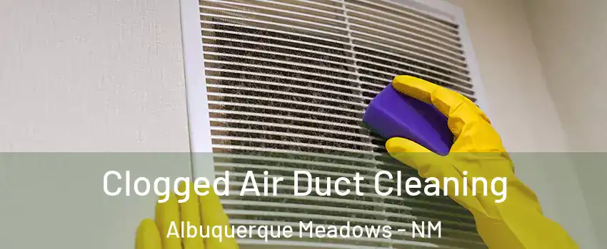 Clogged Air Duct Cleaning Albuquerque Meadows - NM