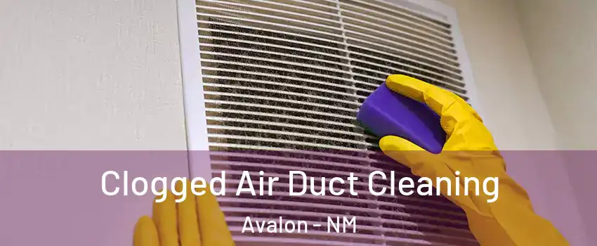 Clogged Air Duct Cleaning Avalon - NM