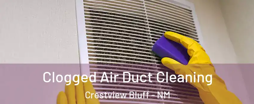 Clogged Air Duct Cleaning Crestview Bluff - NM