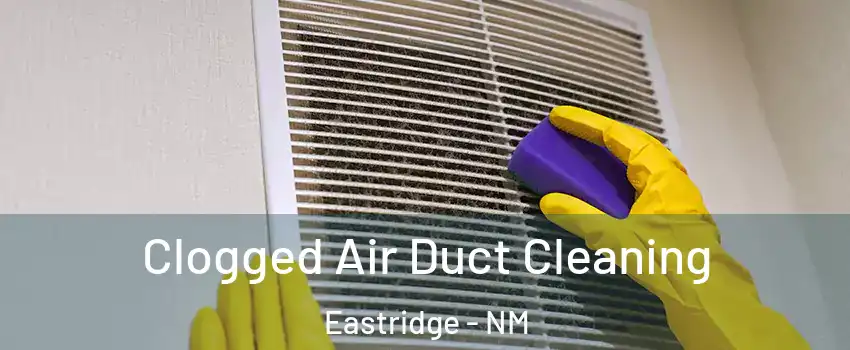 Clogged Air Duct Cleaning Eastridge - NM