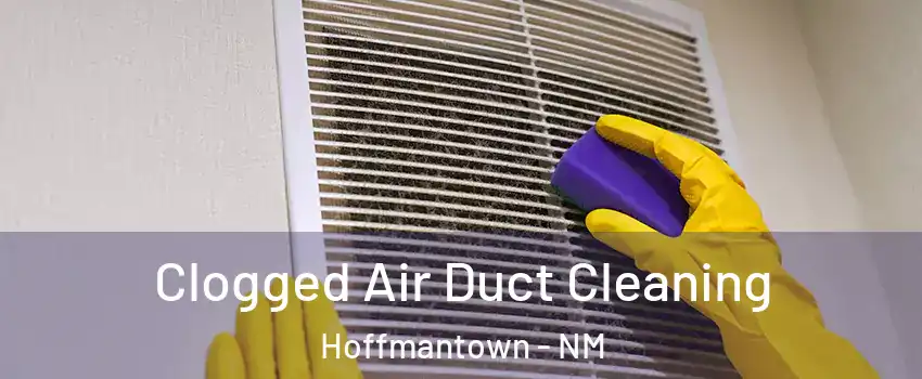 Clogged Air Duct Cleaning Hoffmantown - NM