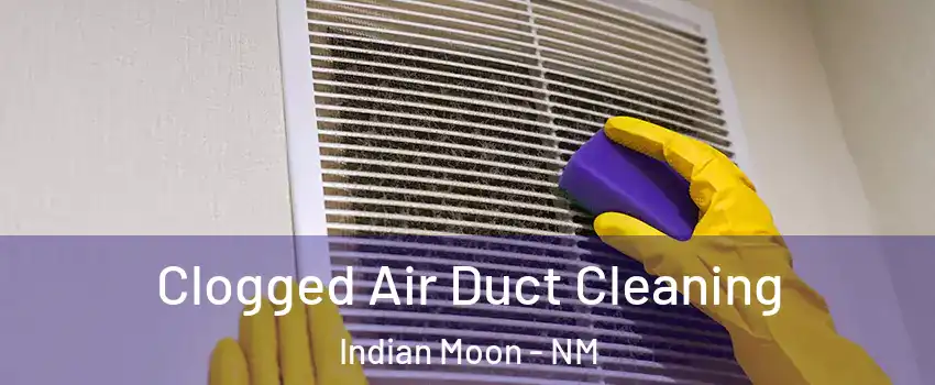 Clogged Air Duct Cleaning Indian Moon - NM