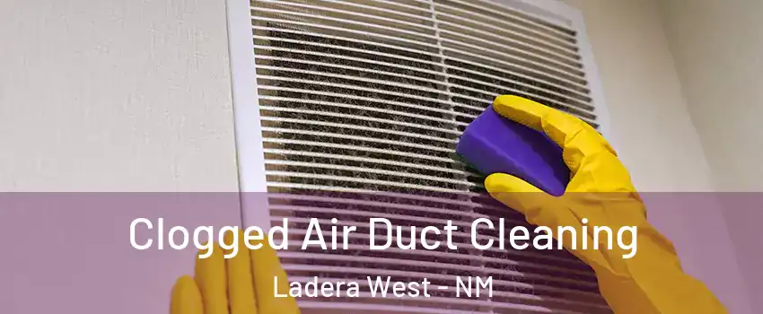 Clogged Air Duct Cleaning Ladera West - NM