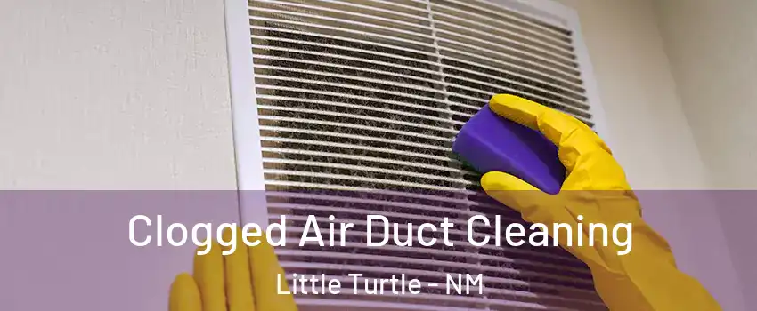 Clogged Air Duct Cleaning Little Turtle - NM