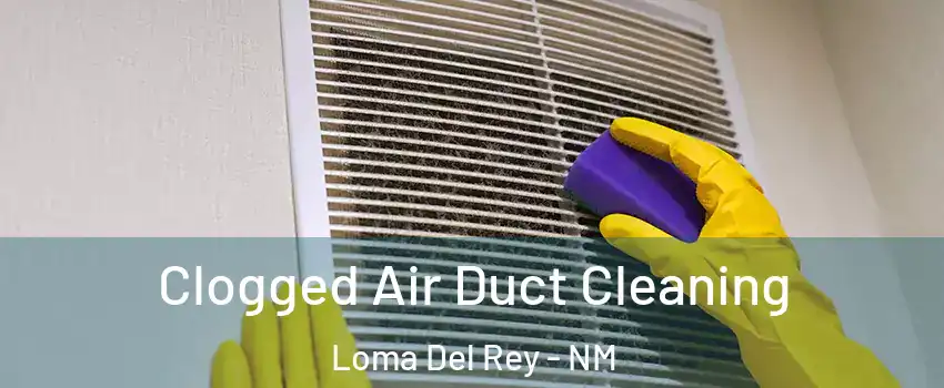 Clogged Air Duct Cleaning Loma Del Rey - NM