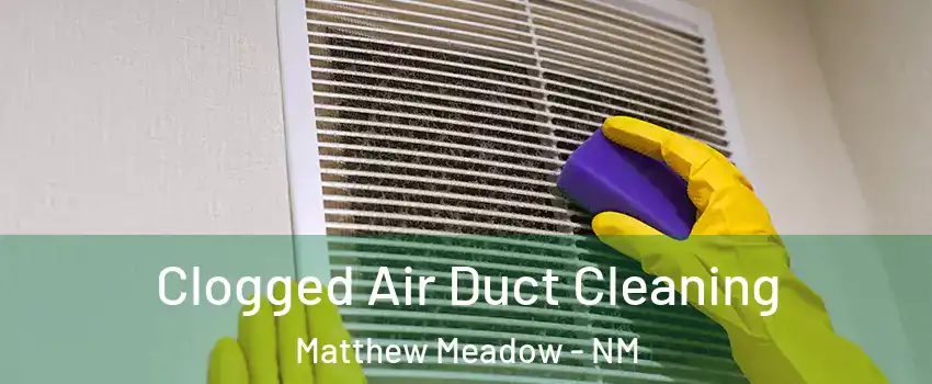 Clogged Air Duct Cleaning Matthew Meadow - NM