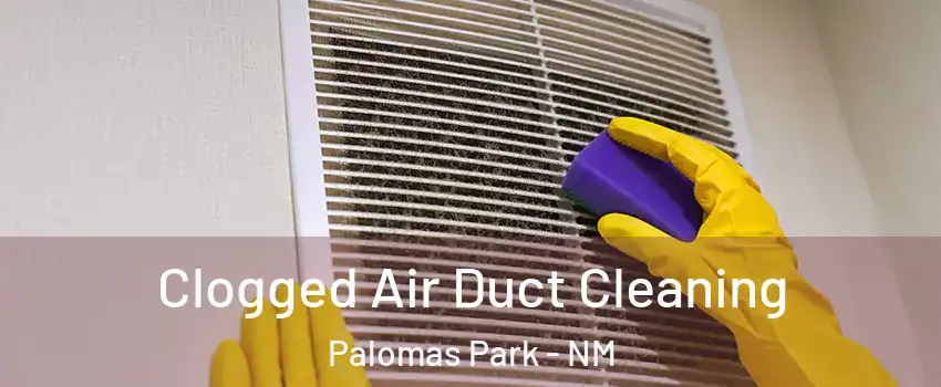 Clogged Air Duct Cleaning Palomas Park - NM