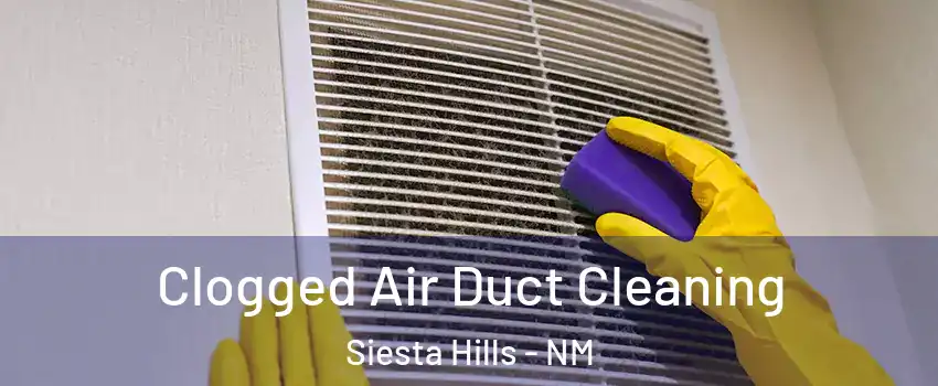 Clogged Air Duct Cleaning Siesta Hills - NM