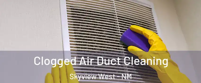 Clogged Air Duct Cleaning Skyview West - NM