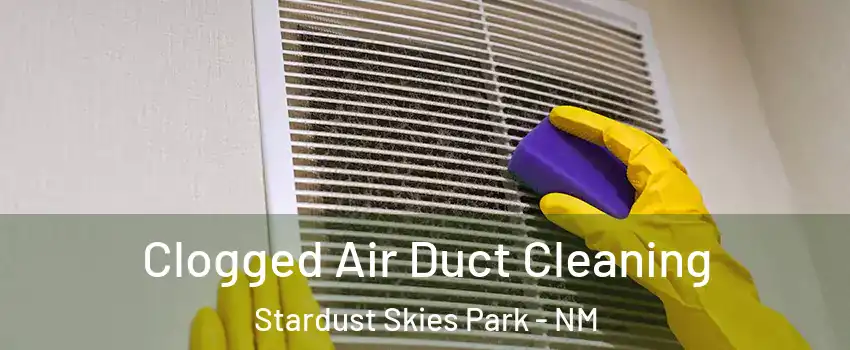 Clogged Air Duct Cleaning Stardust Skies Park - NM