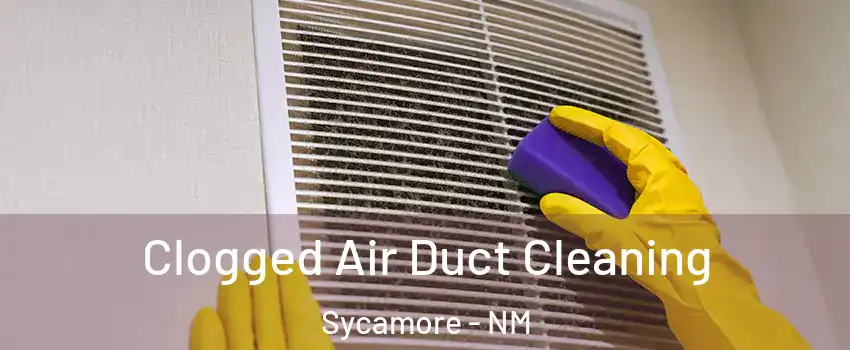 Clogged Air Duct Cleaning Sycamore - NM