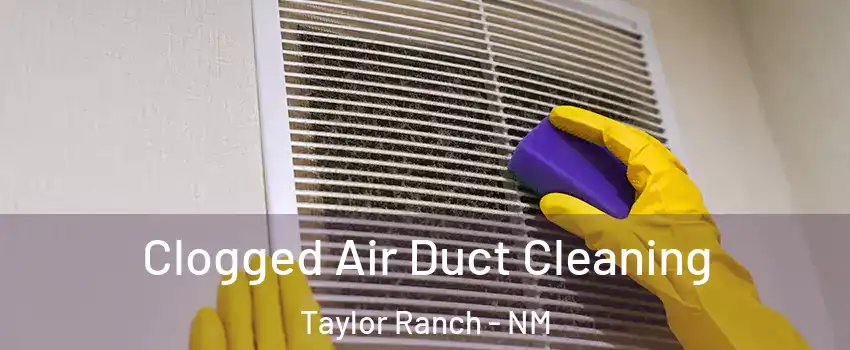Clogged Air Duct Cleaning Taylor Ranch - NM