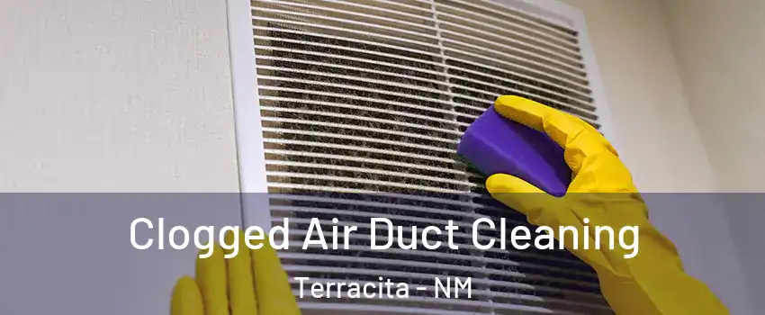 Clogged Air Duct Cleaning Terracita - NM
