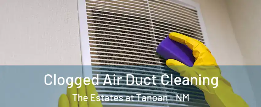 Clogged Air Duct Cleaning The Estates at Tanoan - NM