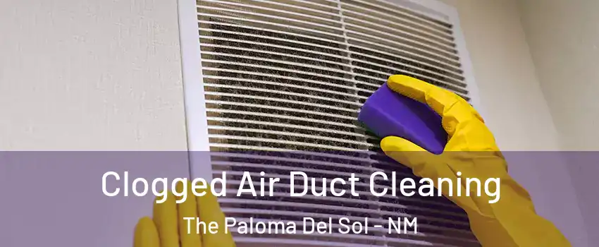 Clogged Air Duct Cleaning The Paloma Del Sol - NM