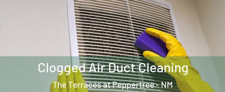 Clogged Air Duct Cleaning The Terraces at Peppertree - NM