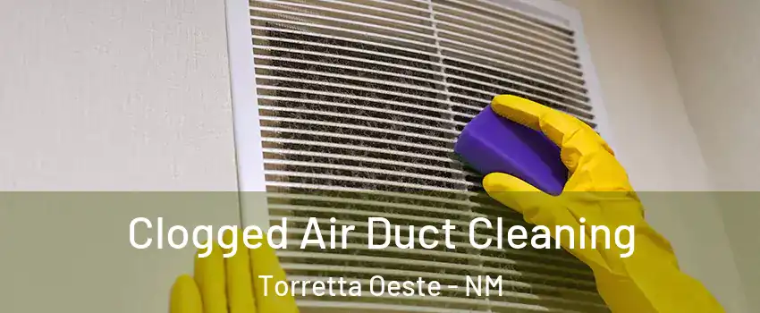 Clogged Air Duct Cleaning Torretta Oeste - NM