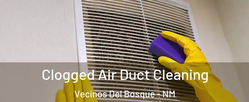 Clogged Air Duct Cleaning Vecinos Del Bosque - NM