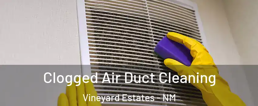 Clogged Air Duct Cleaning Vineyard Estates - NM