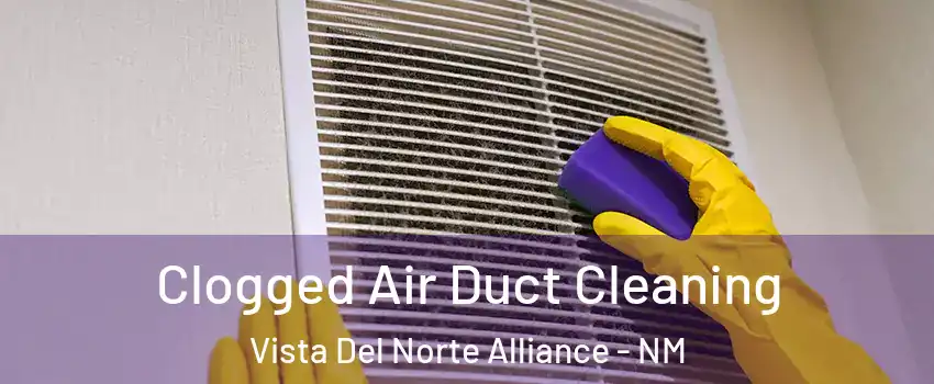 Clogged Air Duct Cleaning Vista Del Norte Alliance - NM