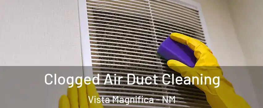 Clogged Air Duct Cleaning Vista Magnifica - NM