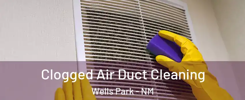 Clogged Air Duct Cleaning Wells Park - NM