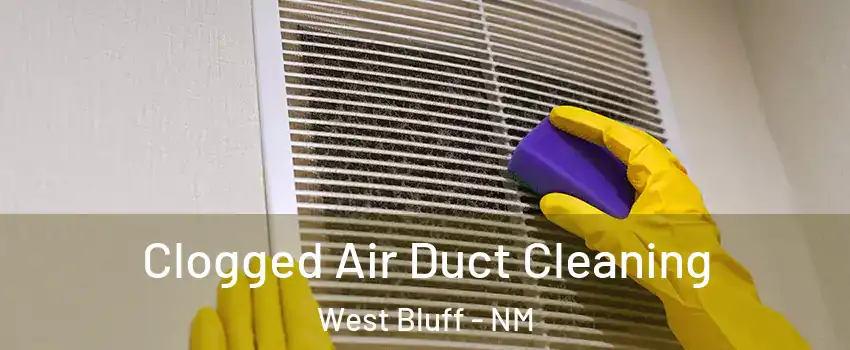 Clogged Air Duct Cleaning West Bluff - NM