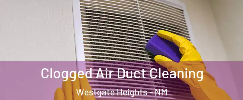 Clogged Air Duct Cleaning Westgate Heights - NM