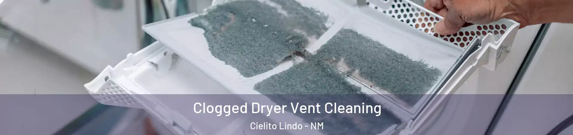 Clogged Dryer Vent Cleaning Cielito Lindo - NM