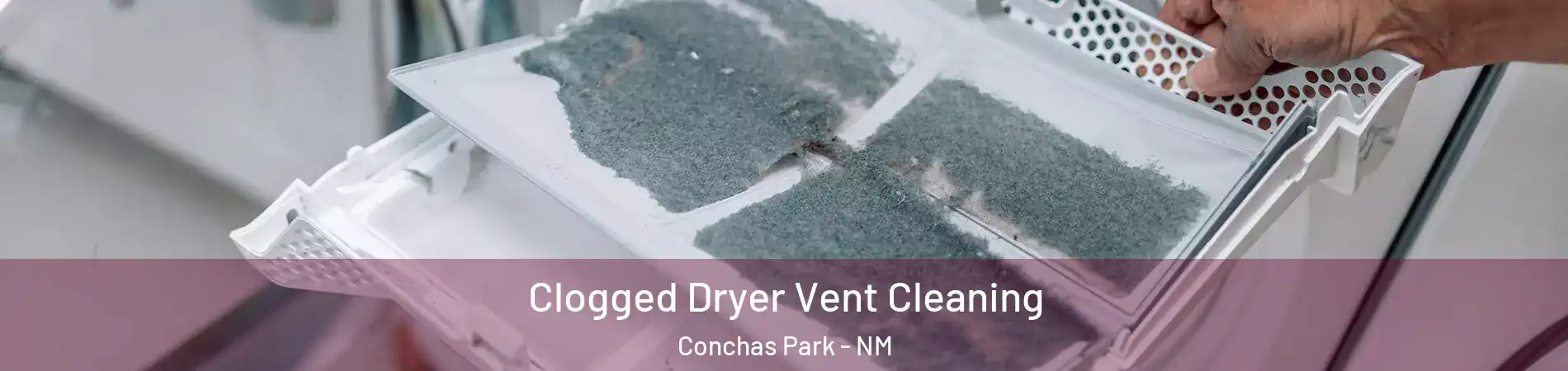 Clogged Dryer Vent Cleaning Conchas Park - NM