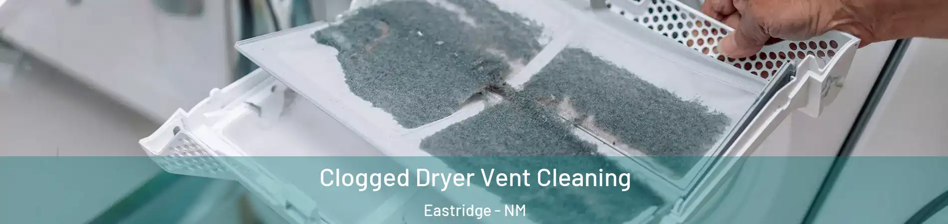 Clogged Dryer Vent Cleaning Eastridge - NM
