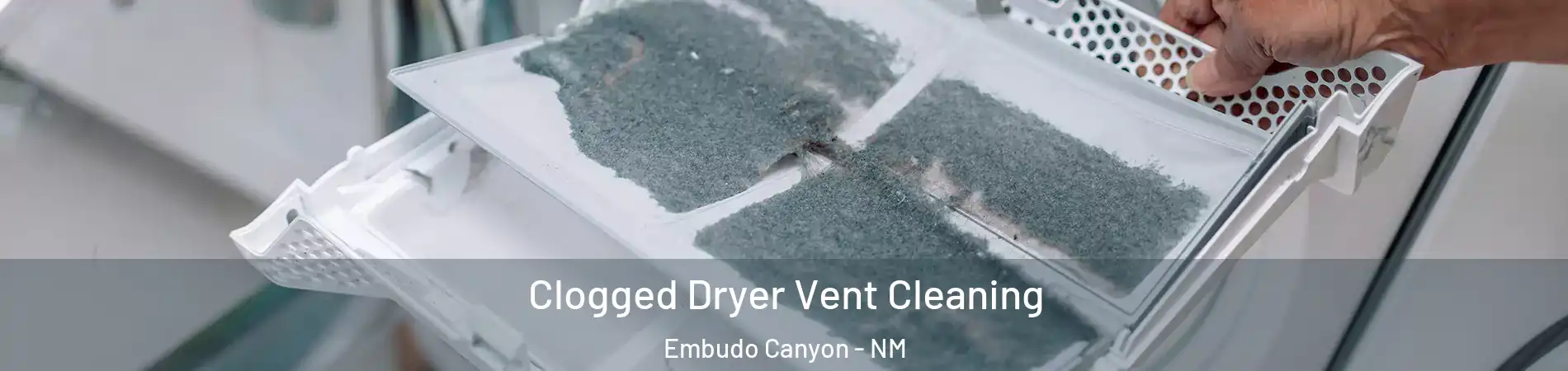Clogged Dryer Vent Cleaning Embudo Canyon - NM