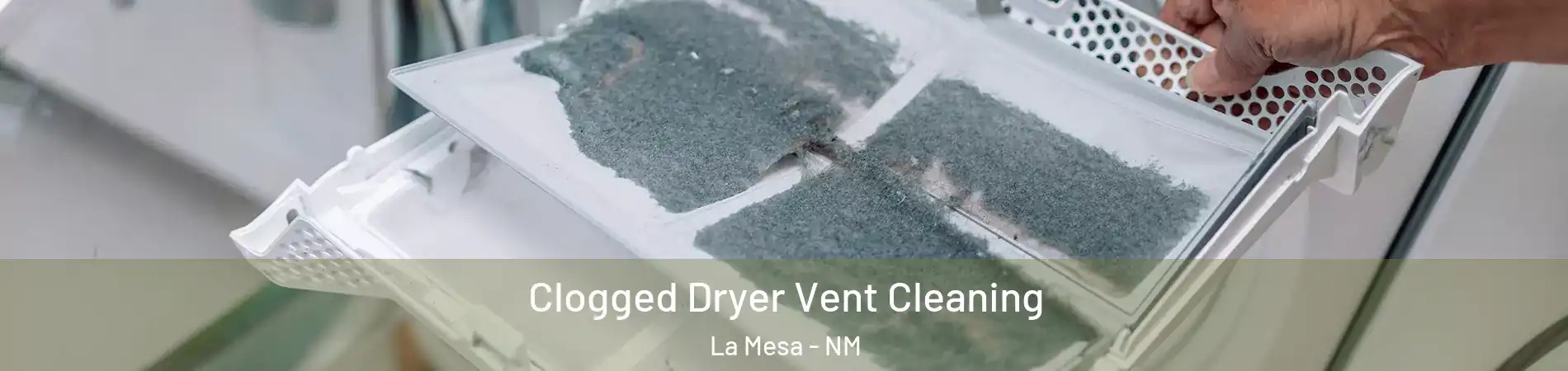Clogged Dryer Vent Cleaning La Mesa - NM
