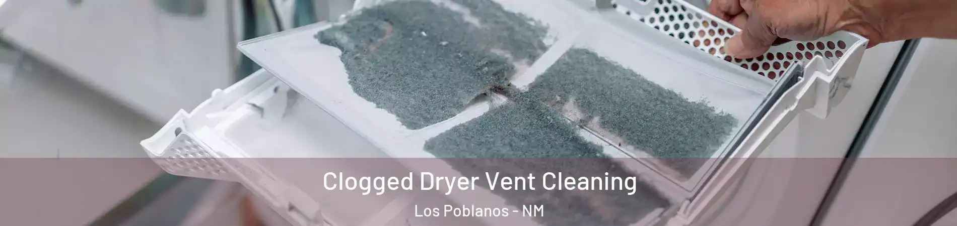 Clogged Dryer Vent Cleaning Los Poblanos - NM