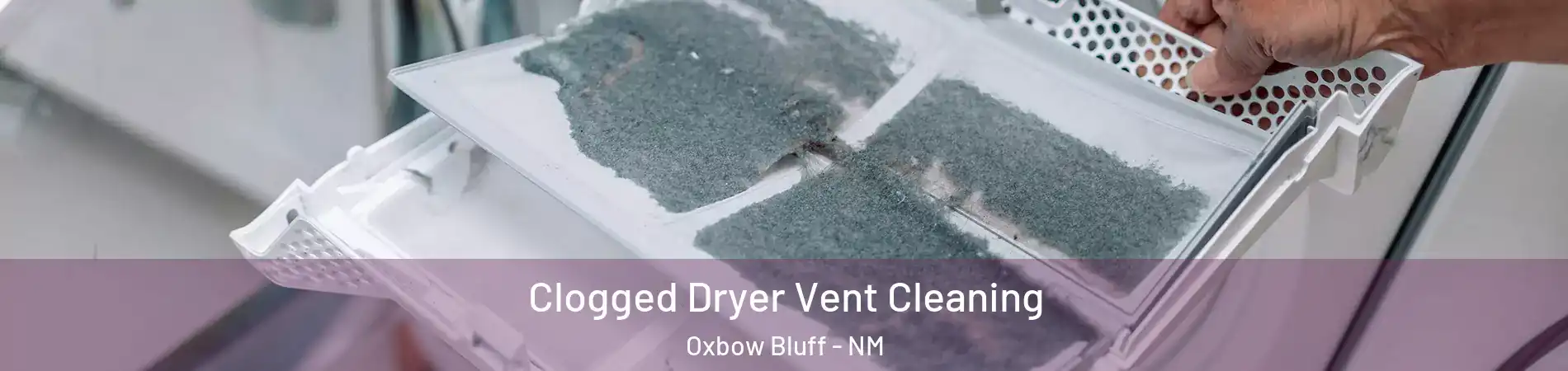 Clogged Dryer Vent Cleaning Oxbow Bluff - NM