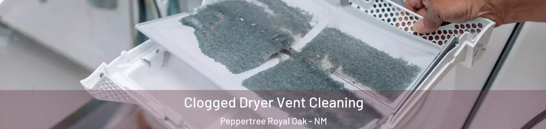Clogged Dryer Vent Cleaning Peppertree Royal Oak - NM