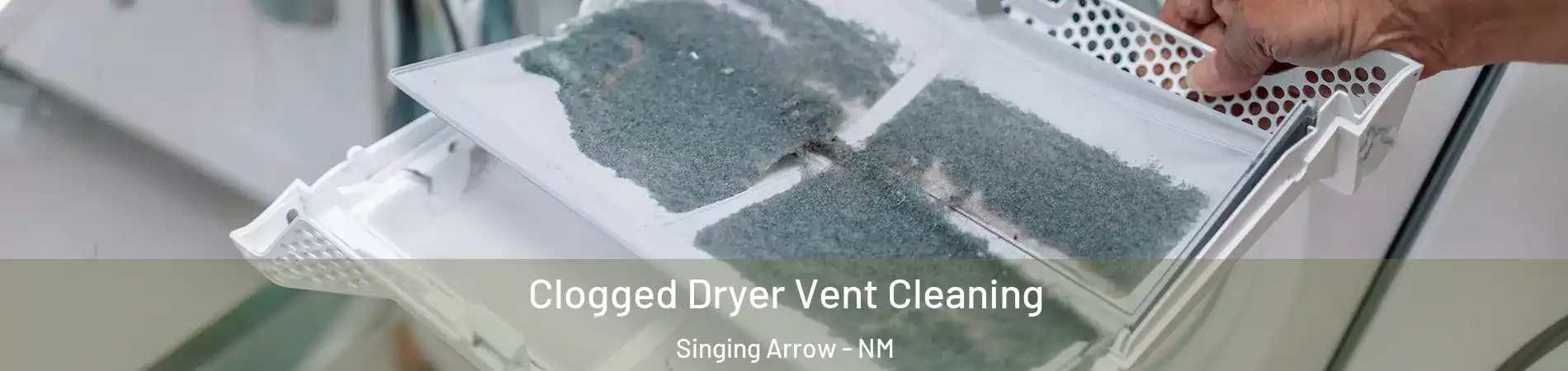 Clogged Dryer Vent Cleaning Singing Arrow - NM