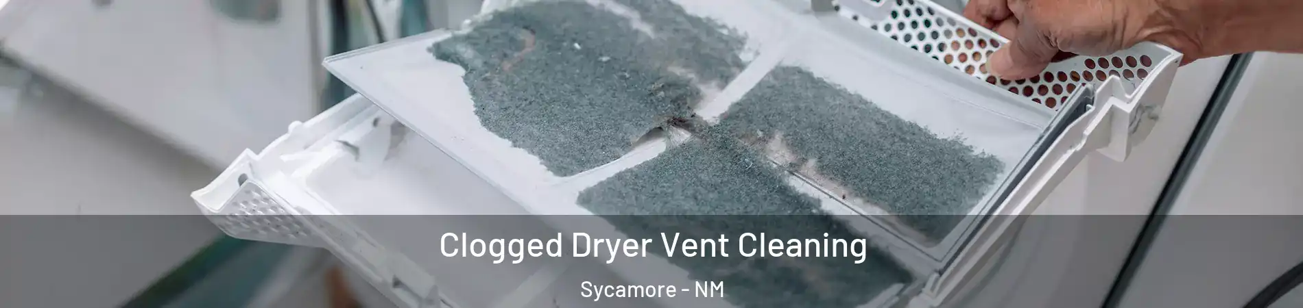 Clogged Dryer Vent Cleaning Sycamore - NM