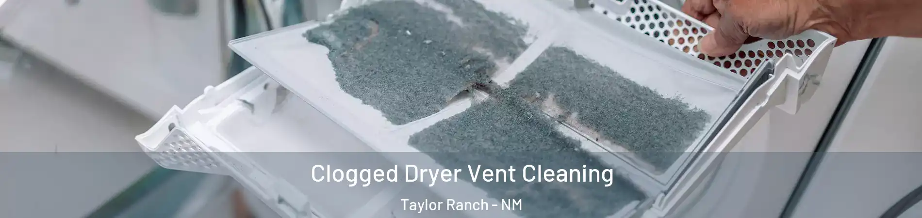 Clogged Dryer Vent Cleaning Taylor Ranch - NM