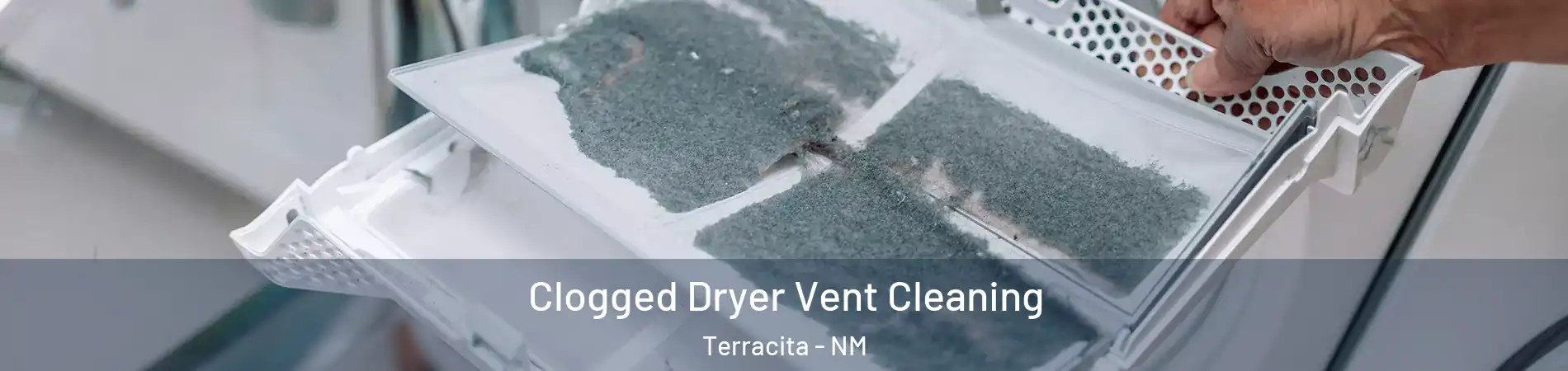 Clogged Dryer Vent Cleaning Terracita - NM