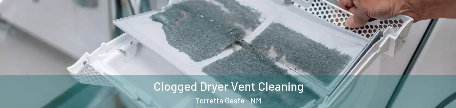 Clogged Dryer Vent Cleaning Torretta Oeste - NM
