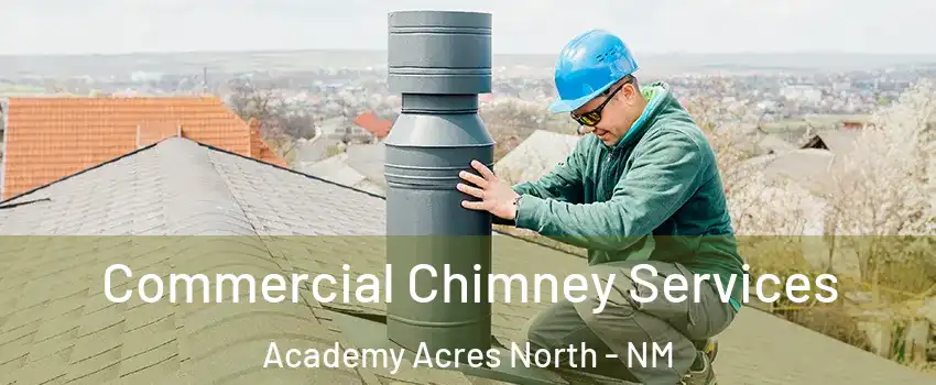 Commercial Chimney Services Academy Acres North - NM