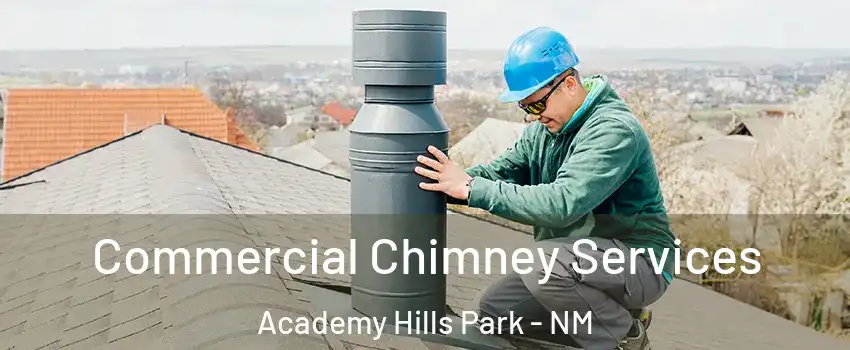 Commercial Chimney Services Academy Hills Park - NM