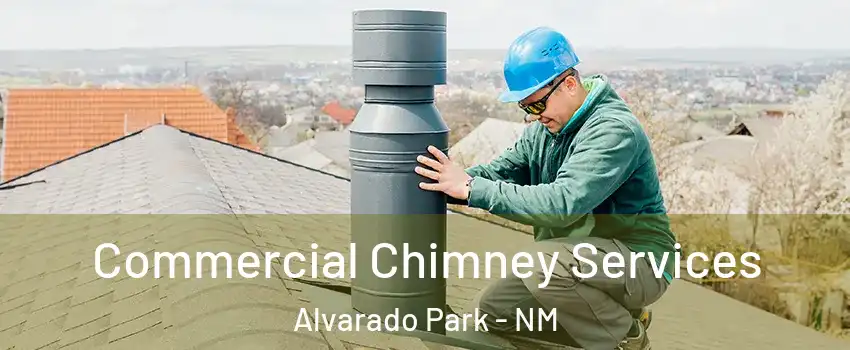Commercial Chimney Services Alvarado Park - NM